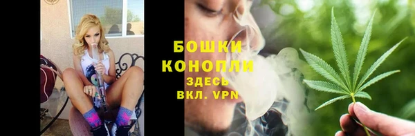 метадон Инта