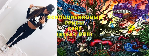 PSILOCYBIN Зеленокумск