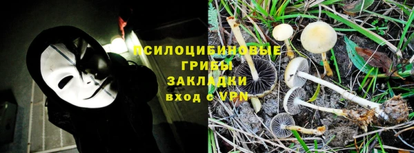 ГАЛЛЮЦИНОГЕННЫЕ ГРИБЫ Зерноград