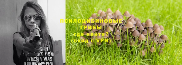 мет Бородино